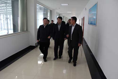 淄博市常務副市長劉曉一行蒞臨公司視察指導工作